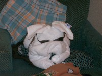 /album/photo-gallery/a1st-cruse-freedom-of-the-seas-017-jpg/